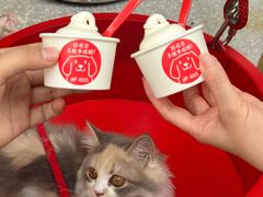 -DQ·蛋糕·冰淇淋(五角场万达店)