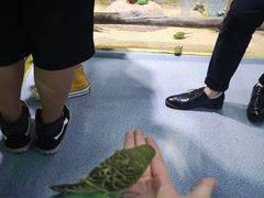 -梦幻海洋王国(吾悦广场张家港店)