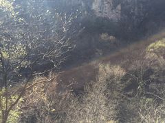 -老君洞旅游度假区
