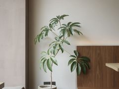 -溯洄咖啡VORTEX COFFEE