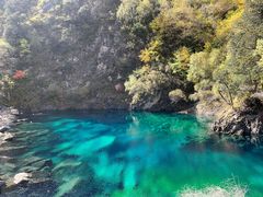 -叠溪松坪沟景区
