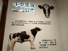 -君乐宝优致牧场