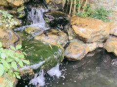 -云溪植物园