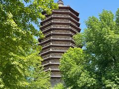 -玲珑塔公园