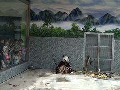 -西安秦岭野生动物园