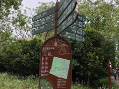 -东平国家森林公园