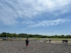 -济州森林小火车生态公园