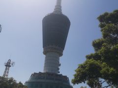 -梧桐山风景名胜区