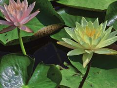 -白鹭湾湿地公园