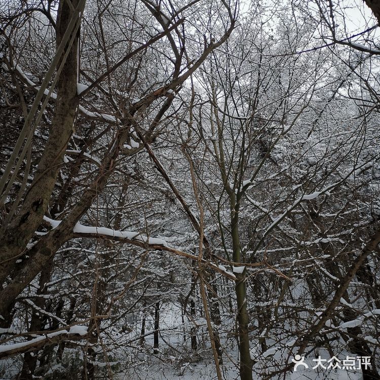 雾凇、白雪、冰挂这里都有