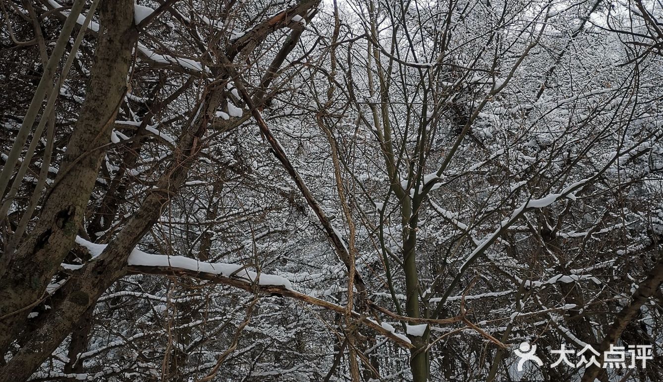 雾凇、白雪、冰挂这里都有