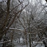 雾凇、白雪、冰挂这里都有