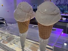 -Dooley's Premium Ice Cream