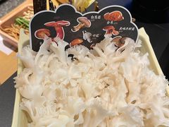 -季季山•云南野生菌火锅(上海首店)