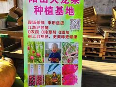 -田园东方蜜桃村的田野营地