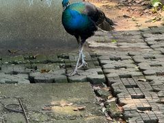 -柳州市动物园