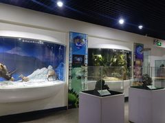 -中国第四纪冰川遗迹陈列馆