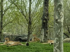 -北京野生动物园