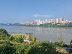-大渡口区义渡公园