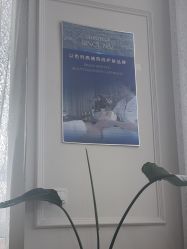 -LUNA皮相美·骨相美高级美感