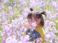 -瀛海足球主题公园