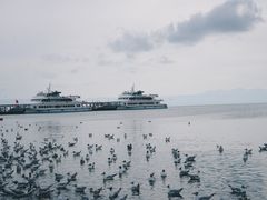 -青海湖国家重点风景名胜区