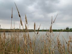 -春花秋色城市公园