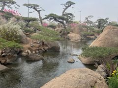 -罗红摄影艺术馆