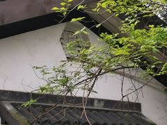 -石塘人家