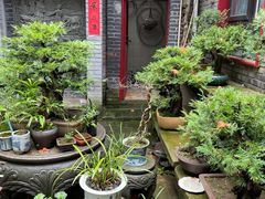 -老张烤羊(王哥庄店)