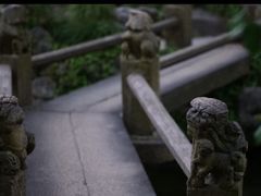 -嘉定紫藤园