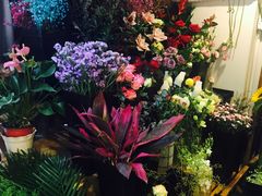 -森野花艺培训·企业团建活动沙龙