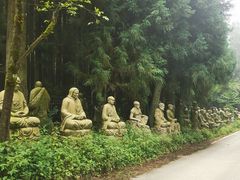 -武陵山森林公园