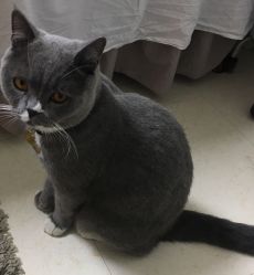 -Pink You美甲美睫纹绣定制中心