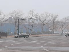 -泉城欧乐堡海洋极地世界
