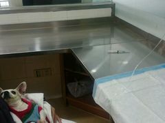 -爱侣宠医·鹦鹉专科·小型哺乳类·异宠专科(灵石路店)