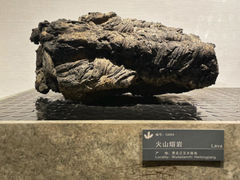 -湖南省地质博物馆