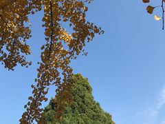 -辽宁大学(崇山校区)
