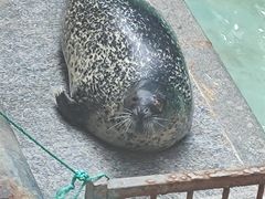 -蓬莱欧乐堡海洋极地世界