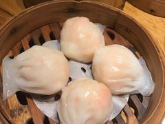 -颐和•海鲜砂锅粥•啫啫煲(奥林匹克广场店)