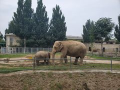 -石家庄市动物园