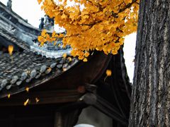 -宝光寺
