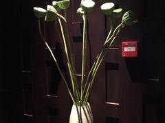 -丽晶大班SPA(大沽店)