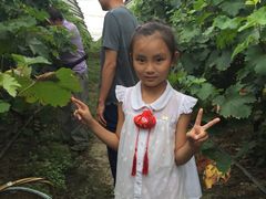 -马陆小张葡萄园农家乐