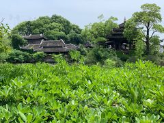 -韩湘水博园