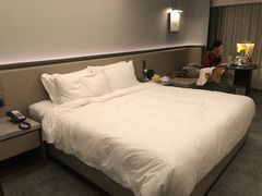 -南京THE TAI太和紫金大酒店