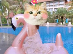 -三亚海棠湾万丽度假酒店