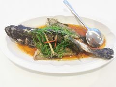-北国饭店·海鲜.北方菜(榕城店)