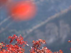 -周口店坡峰岭风景区