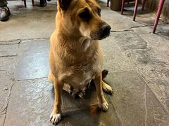 -古城苗家土菜馆(河景餐厅店)